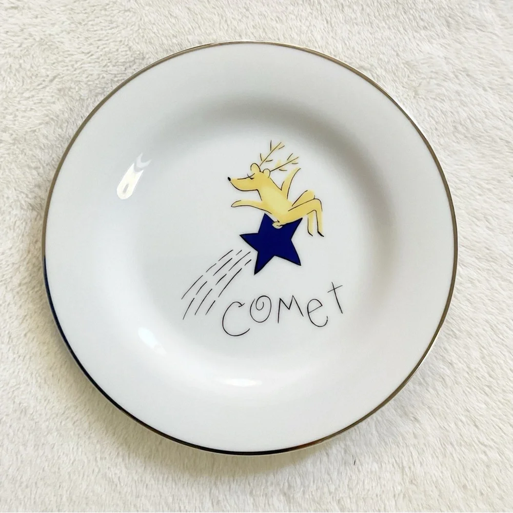 Pottery Barn Comet Reindeer Salad Plate 8.5” Japan Christmas Deer Silver Rim